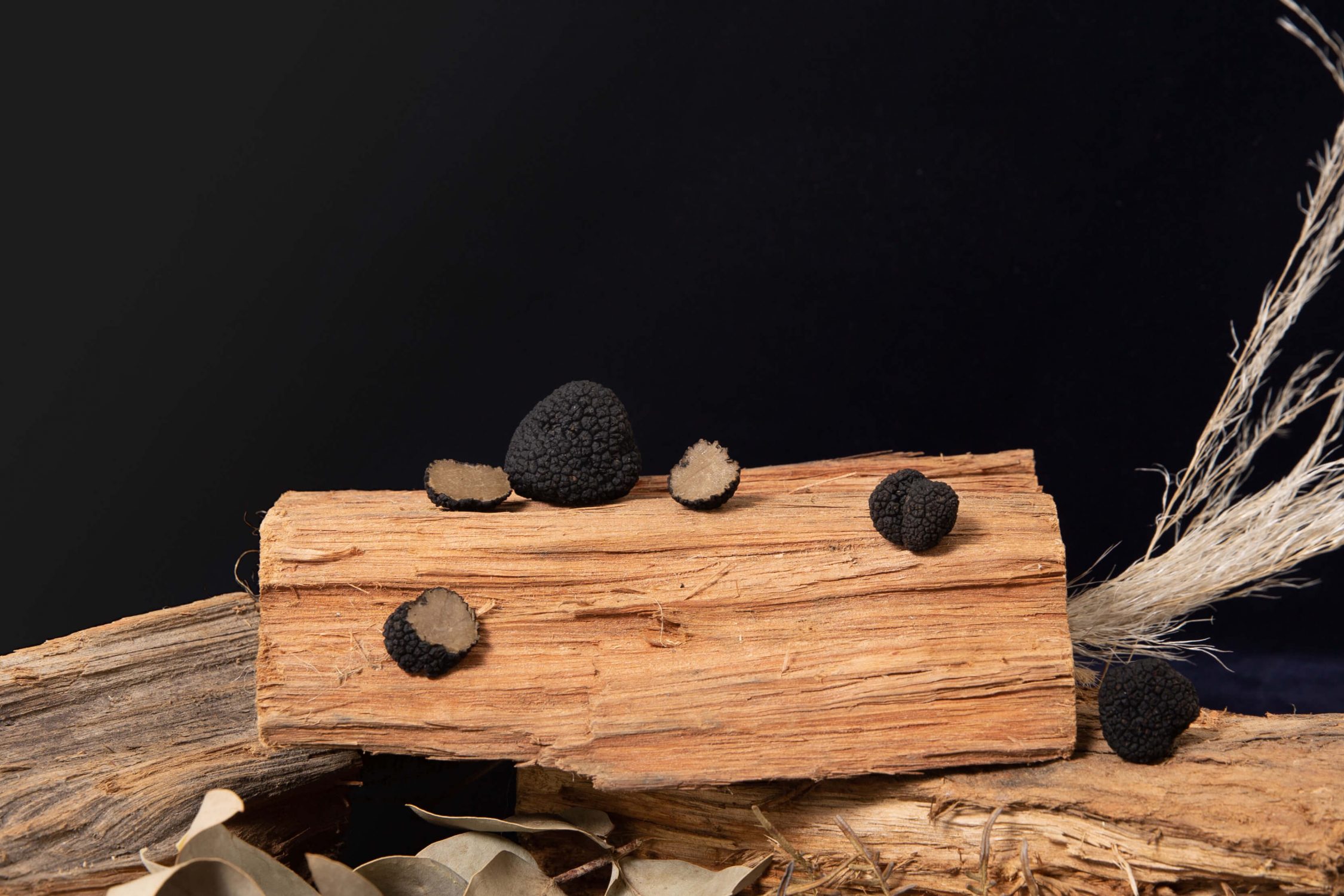 truffle on wood logs